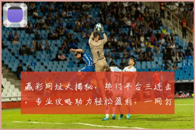 赢彩网址大揭秘，热门平台三连击，专业攻略助力轻松盈利，一网打尽