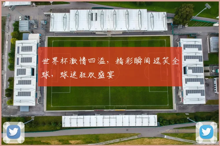 世界杯激情四溢，精彩瞬间逗笑全球，球迷狂欢盛宴